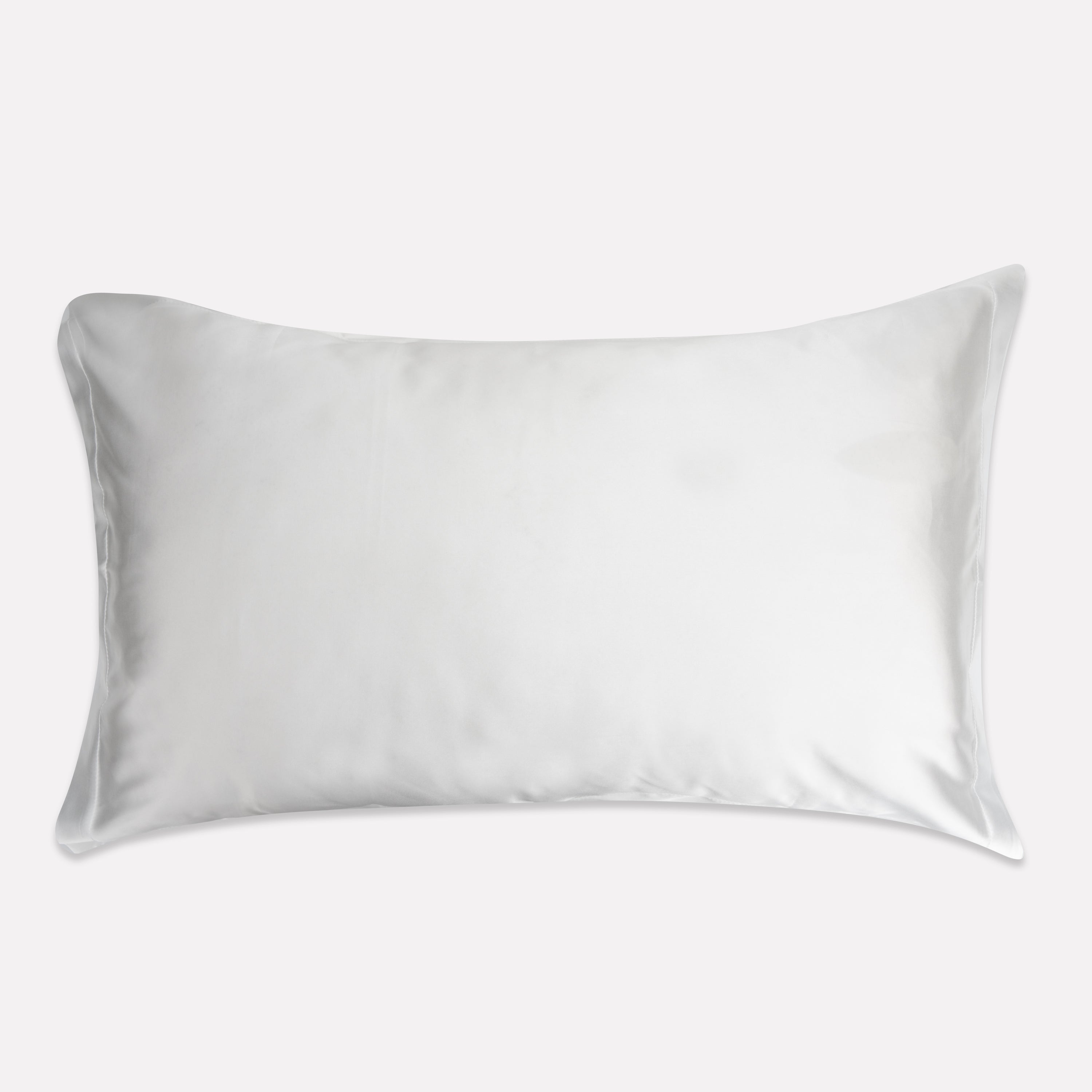 Silk Travel Pillow Cases | 2 Pack