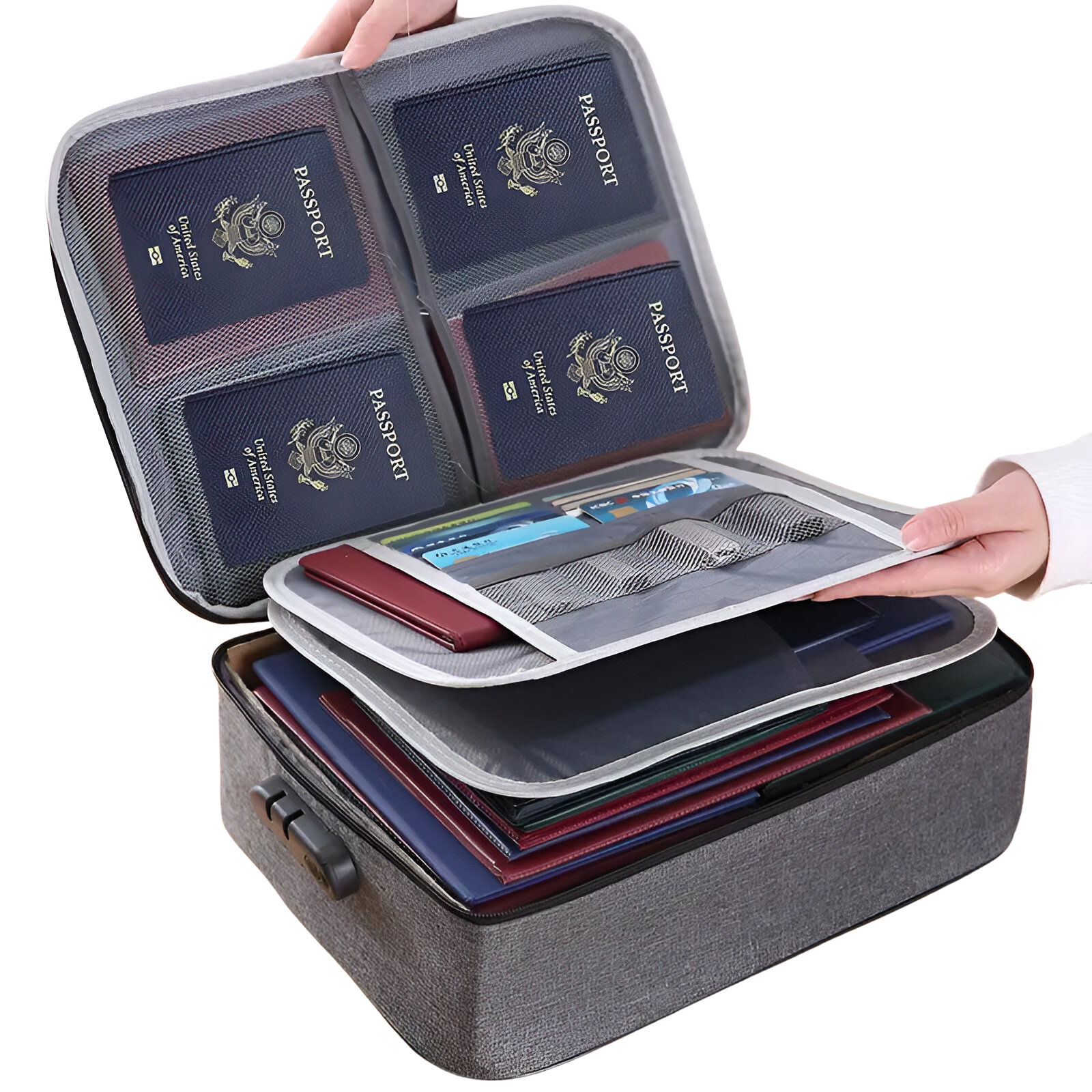 TravelSafe Dokumenten- und Reisepasstasche